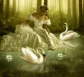 /album/kepgaleria-kezdolap/a8383534-jpg/